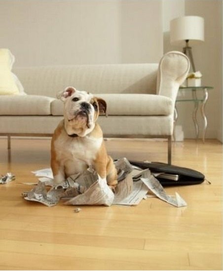 �������Д[�O(sh��)��(y��ng)ԓ�M������һЩ���F�ء���Ʒ